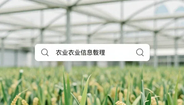 企业信息更新中的数据校验与同步环节解析